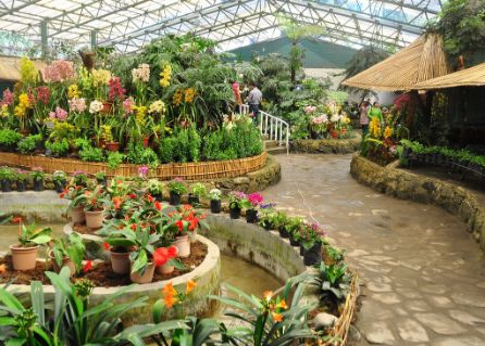 Gangtok Deorali Orchid Sanctuary Landscape Image
